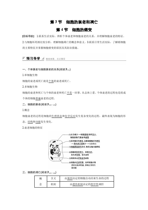 2015-2016学年高一生物人教版必修1学案：第六章 第3节、第4节 细胞的衰老和凋亡 细胞的癌变 