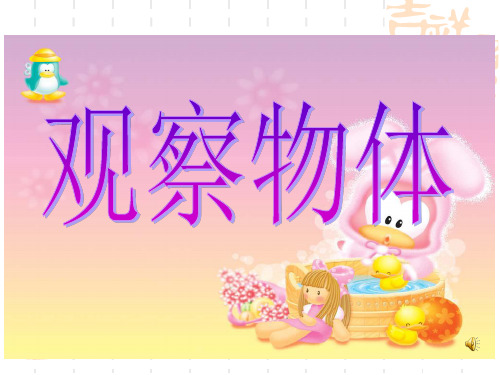 苏教版三年级上册观察物体1课件