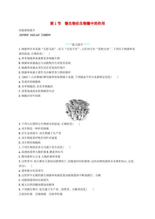 八年级生物上册18-1微生物在生物圈中的作用课后习题新版北师大版