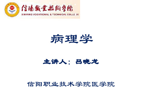 肝硬化