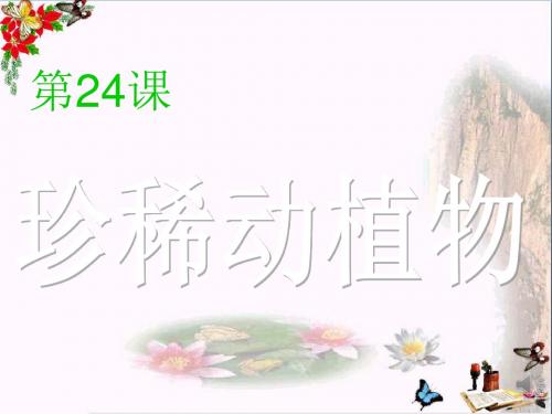 六年级科学上册珍稀动植物ppt课件3青岛版
