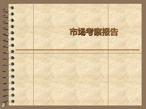 《市场考察报告》PPT课件