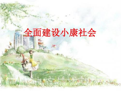 全面建设小康社会(复习课)要点