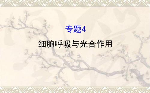 2017届高考生物二轮复习专题四细胞呼吸与光合作用课件