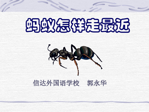北师版初二数学蚂蚁怎样走最近1