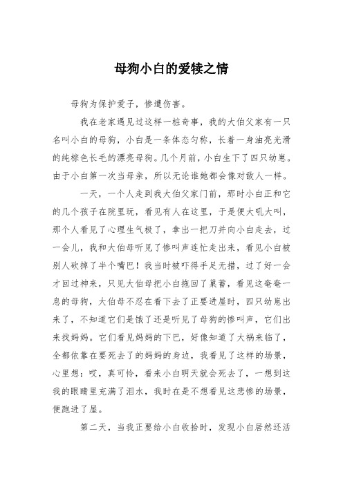 初中议论文作文：母狗小白的爱犊之情