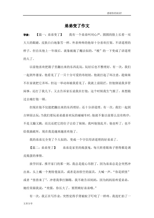 弟弟变了作文