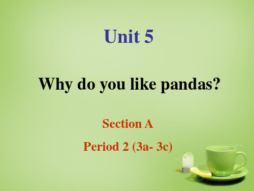 新人教PEP英语七年级下册课件— Unit 5 Why do you like pandas Section A 2课件