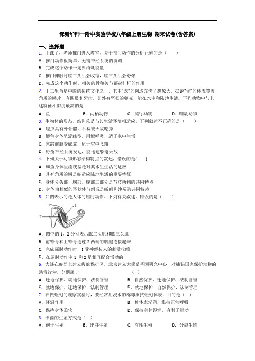 深圳华师一附中实验学校八年级上册生物 期末试卷(含答案)