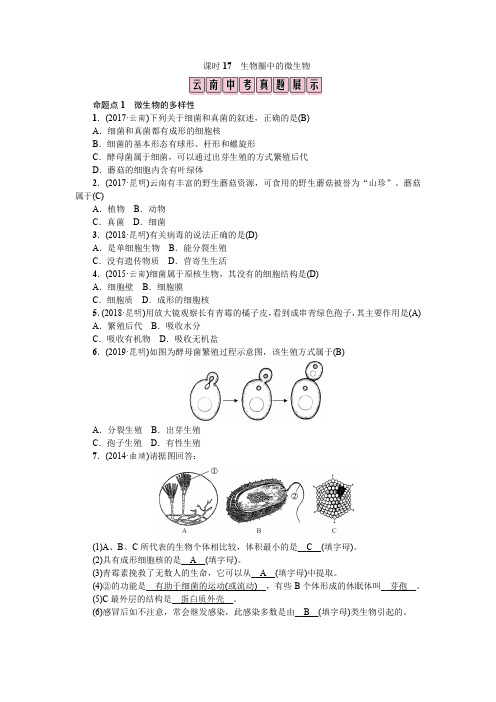 课时17 生物圈中的微生物-2020年中考 生物(云南专版)  教材考点梳理