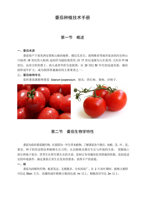 番茄种植技术手册