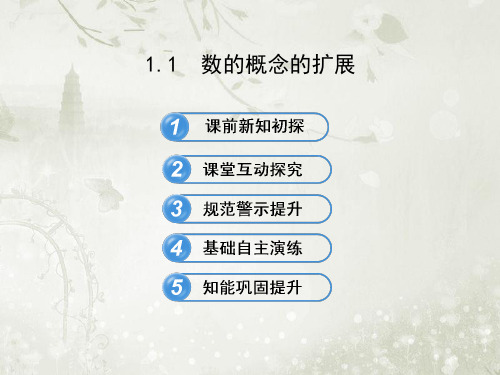 北师大版高中数学选修1-2 数的概念的扩展 课件(32张)