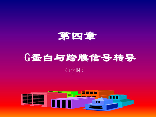 第四章  G蛋白与跨膜信号转导