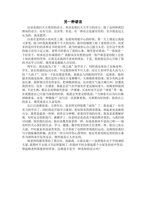 另一种语言