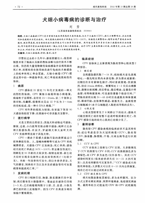 犬细小病毒病的诊断与治疗