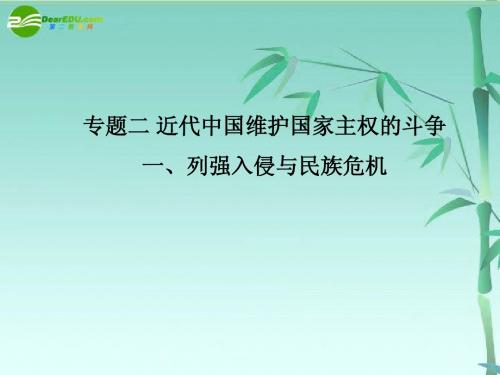 高中历史 专题二《列强入侵与民族危机》课件 人民版必修1
