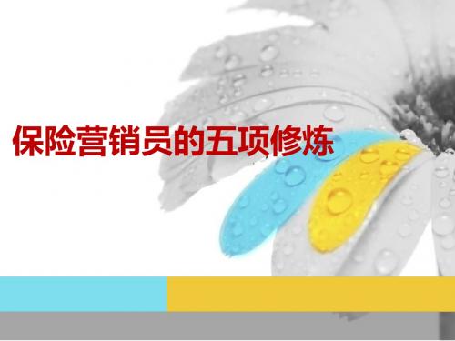 保险营销员的五项修炼 10页PPT文档