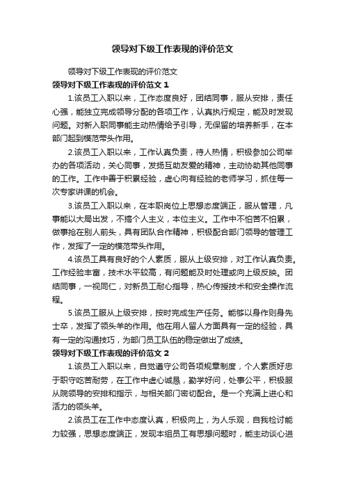 领导对下级工作表现的评价范文
