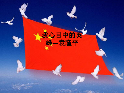 我心目中的英雄—袁隆平ppt课件