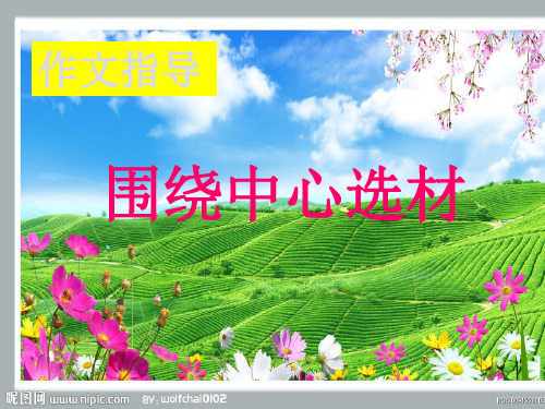 作文指导如何选材.ppt