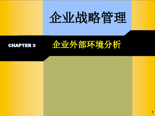 战略外部环境分析ppt课件