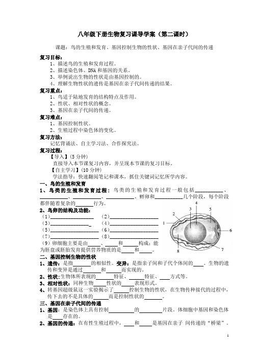 八年级下册生物复习课(第二课时)导学案