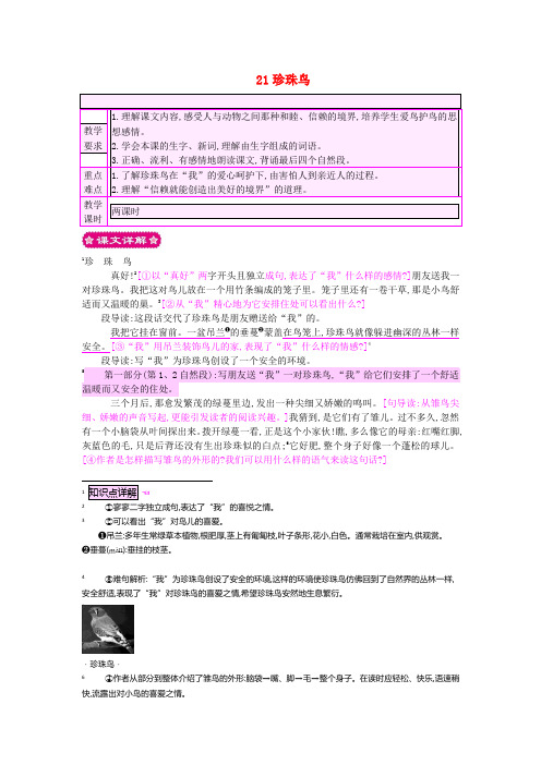 四年级语文上册21珍珠鸟教案苏教版