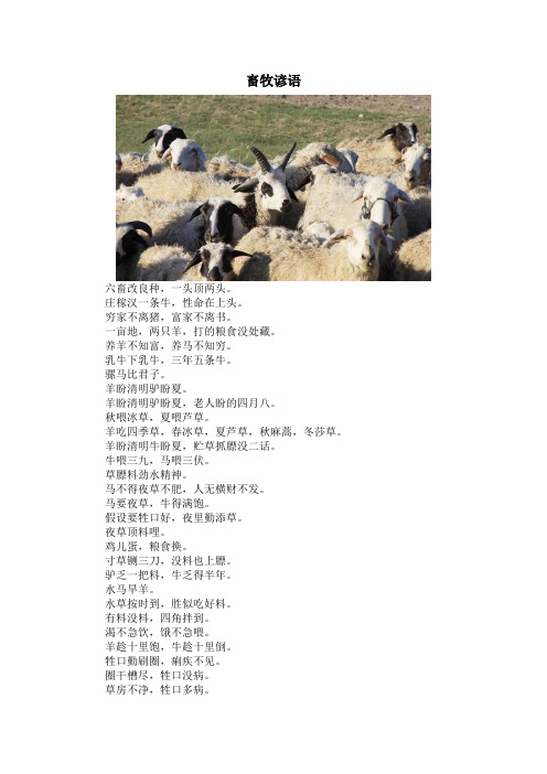 畜牧谚语