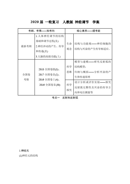 2020届 一轮复习  人教版 神经调节  学案