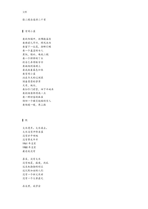 张二棍自选诗二十首