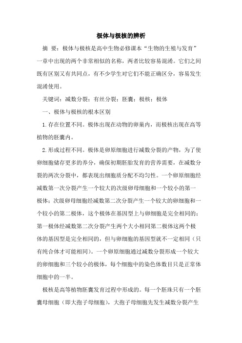 极体与极核辨析