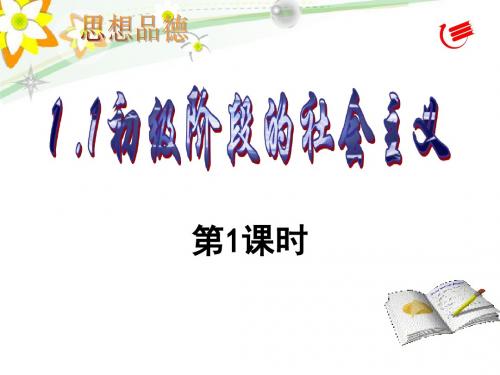1.1初级阶段的社会主义,第1课时