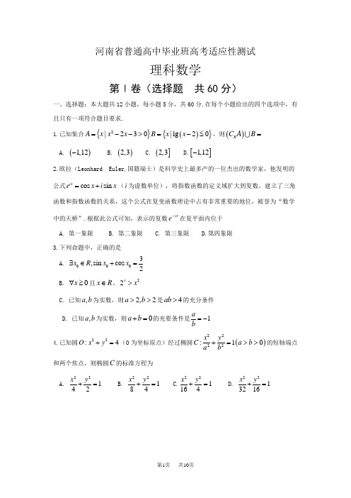 高考适应性测试数学试题(理)含答案编