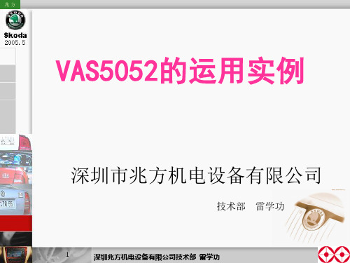 VAS5052的使用案例