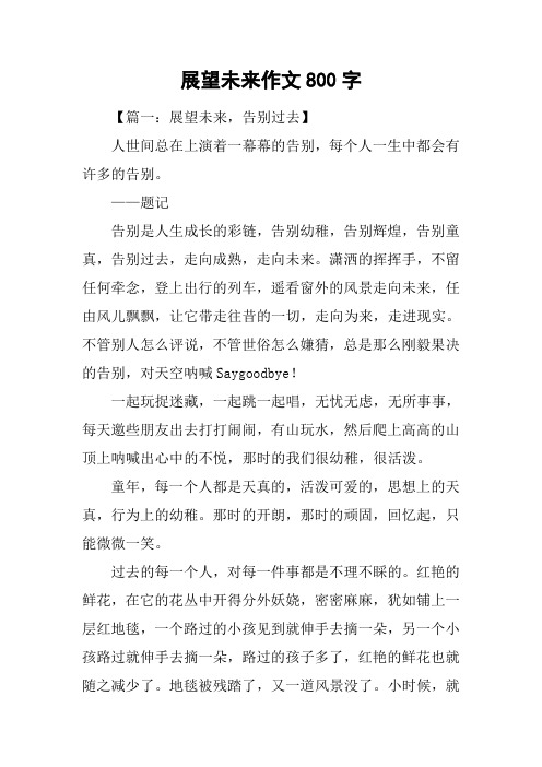 展望未来作文800字