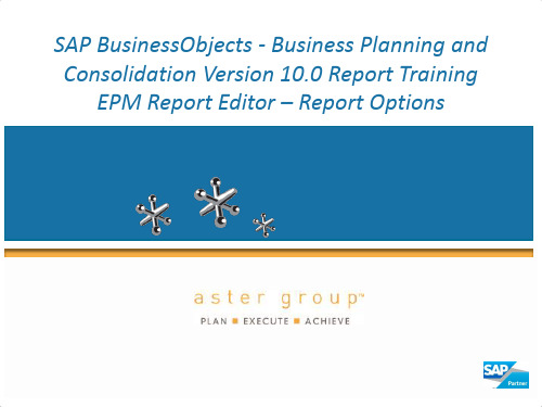 BPC 10.0 EMP Aster Group 10 Report Training - 07 Report Options