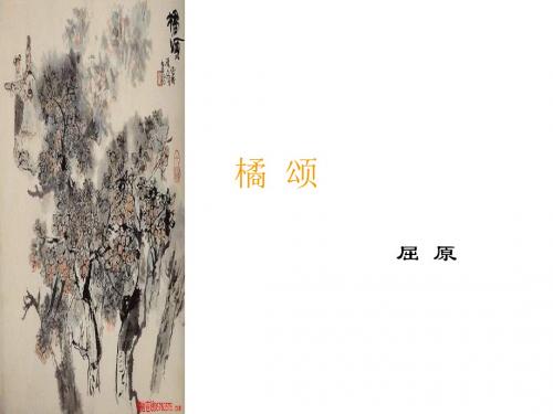 屈原《橘颂》课件