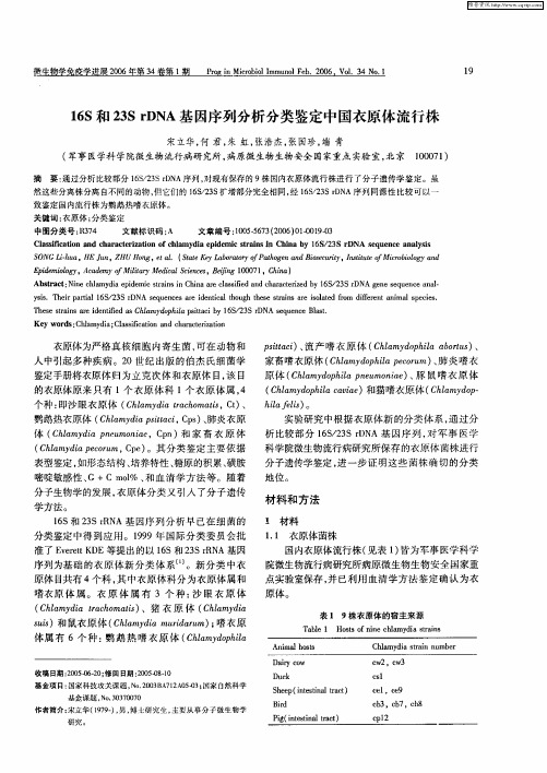 16S和23S rDNA基因序列分析分类鉴定中国衣原体流行株