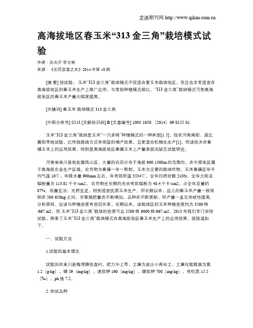 高海拔地区春玉米“313金三角”栽培模式试验