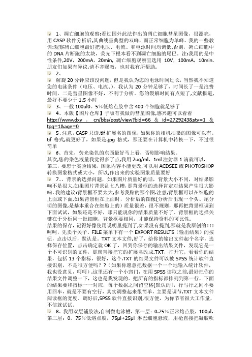 彗星实验要点