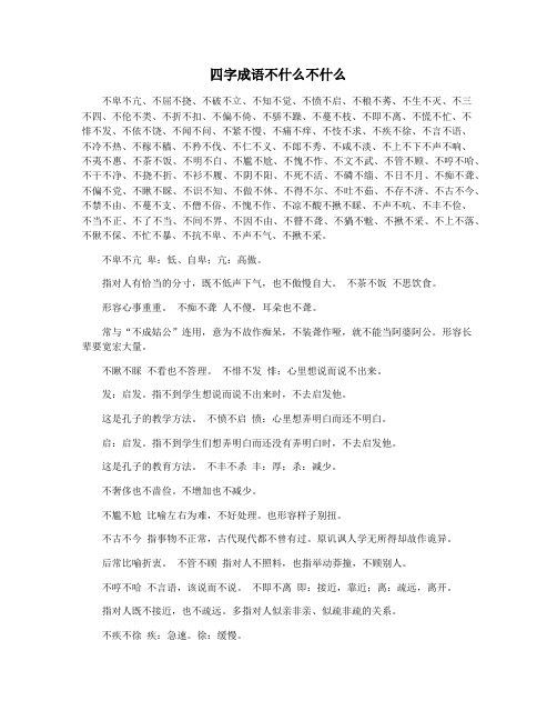 四字成语不什么不什么