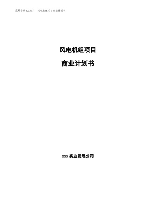 风电机组项目商业计划书