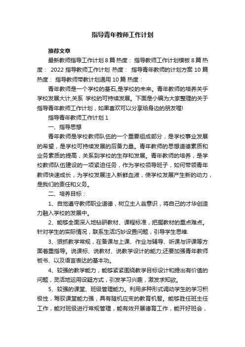 指导青年教师工作计划