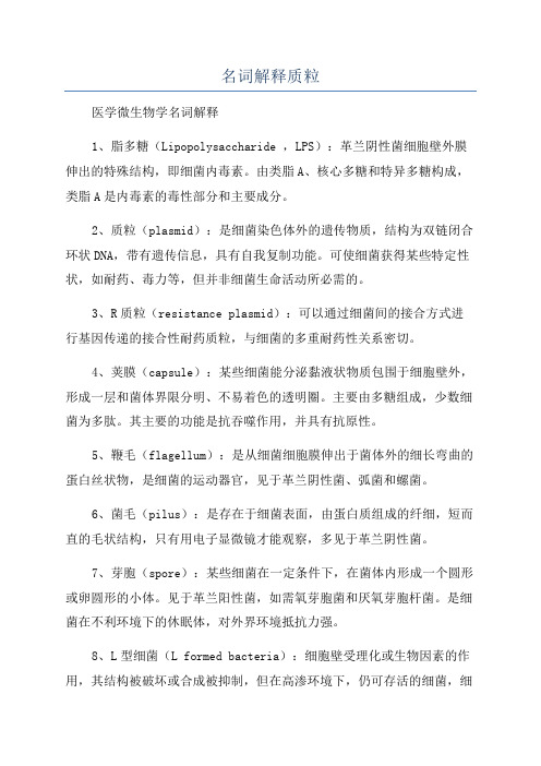 名词解释质粒