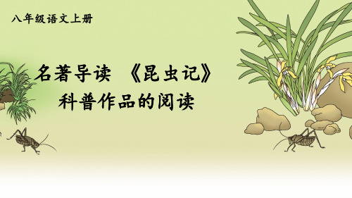 部编人教版八年级语文上册名著导读《昆虫记》优质课件【最新】