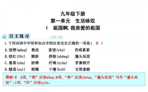 2019秋人教部编版九年级语文下册习题课件：1 祖国啊,我亲爱的祖国 (共15张PPT)