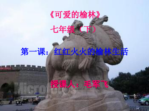 七年级校本课程可爱的榆林红红火火的榆林生活