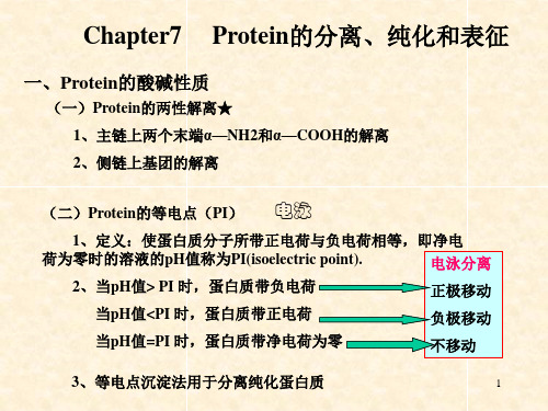 蛋白质的分离纯化PPT