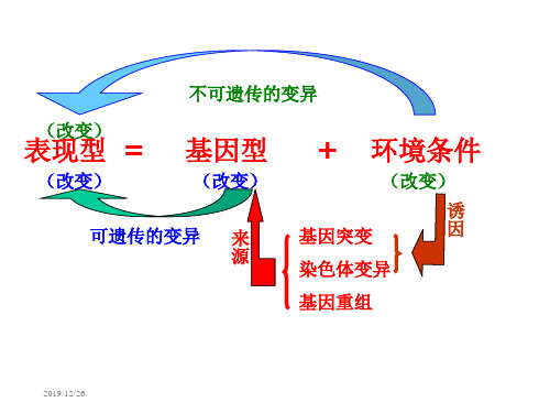 生物：第四章《第二节生物变异在生产中的应用》1浙科版必修2ppt课件