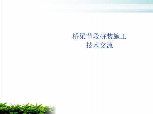 节段拼装箱梁施工技术PPT课件